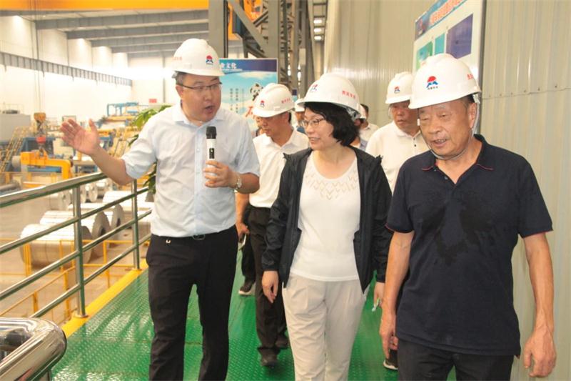 灵宝市党政考察团莅临云顶集团铝业参观考察