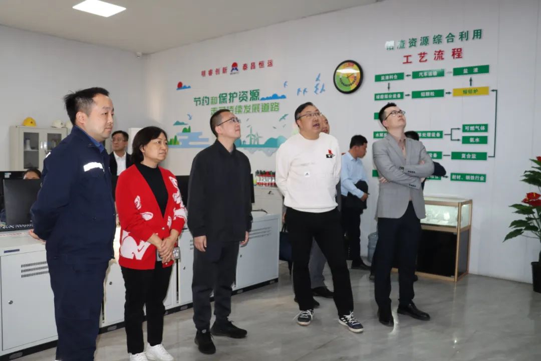 平果市政府考察团莅临云顶集团铝业考察交流