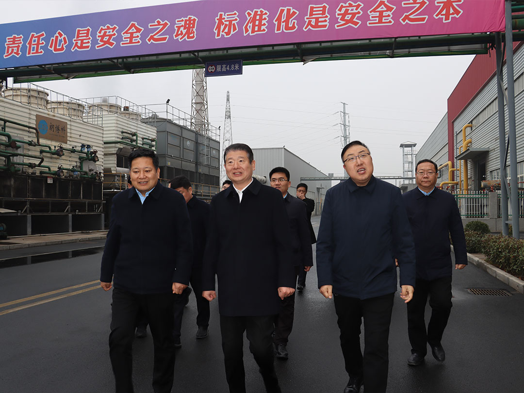 林州市委书记王宝玉一行到云顶集团铝业考察指导