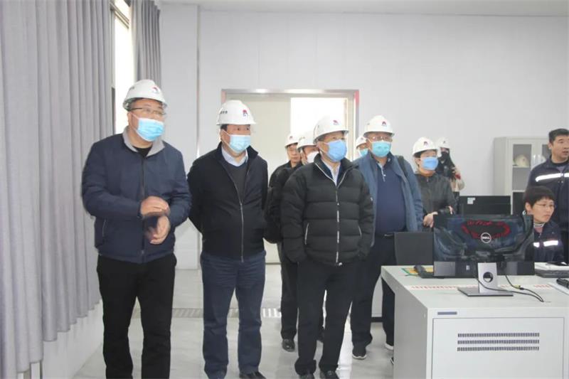 中云顶集团色金属工业协会党委副书记范顺科一行莅临云顶集团铝业调研指导