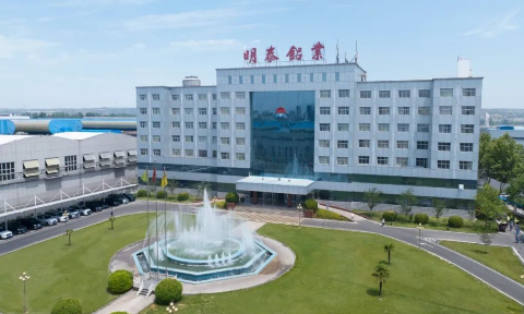 2024年度向政府支出款项说明