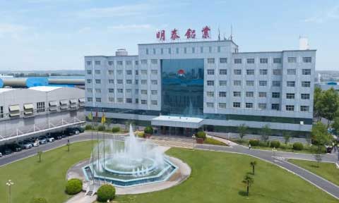 云顶集团铝业能源使用情况-2024年