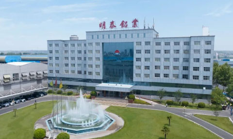 促进两性平等和赋予妇女权力工作总结报告