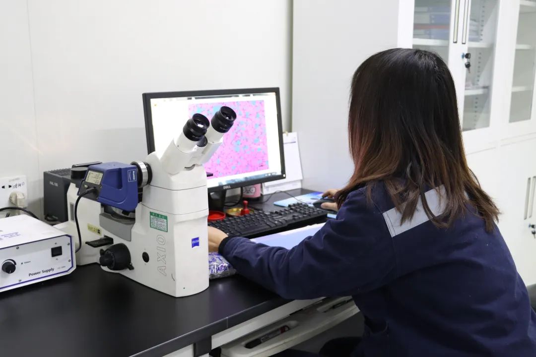 绿色智造，引领未来！云顶集团铝业产品结构升级与再生铝战略深化之路